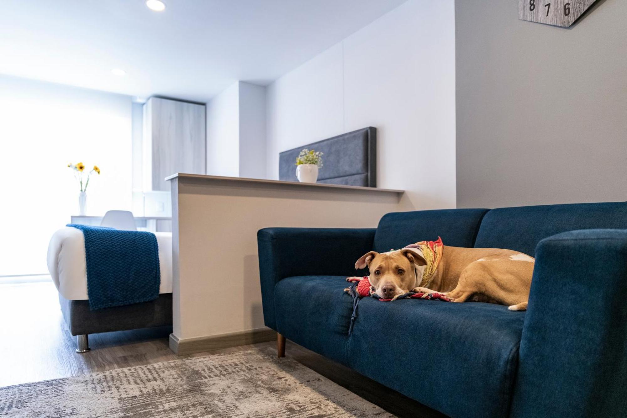 Torre Ventto Lofts Apartment Bogota
